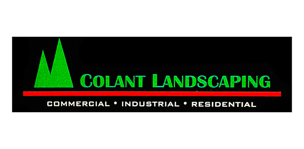BB-sponsor-gallery-colant